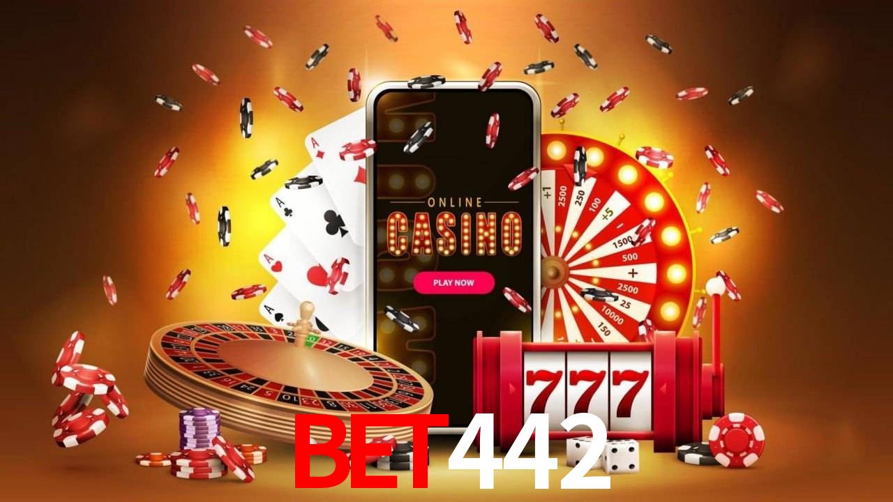 Experiência VIP bet442